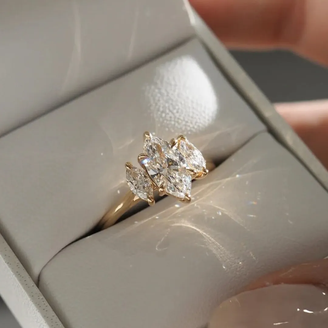 /public/photos/live/marquise (3).webp